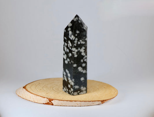Obsidienne neige - pointe