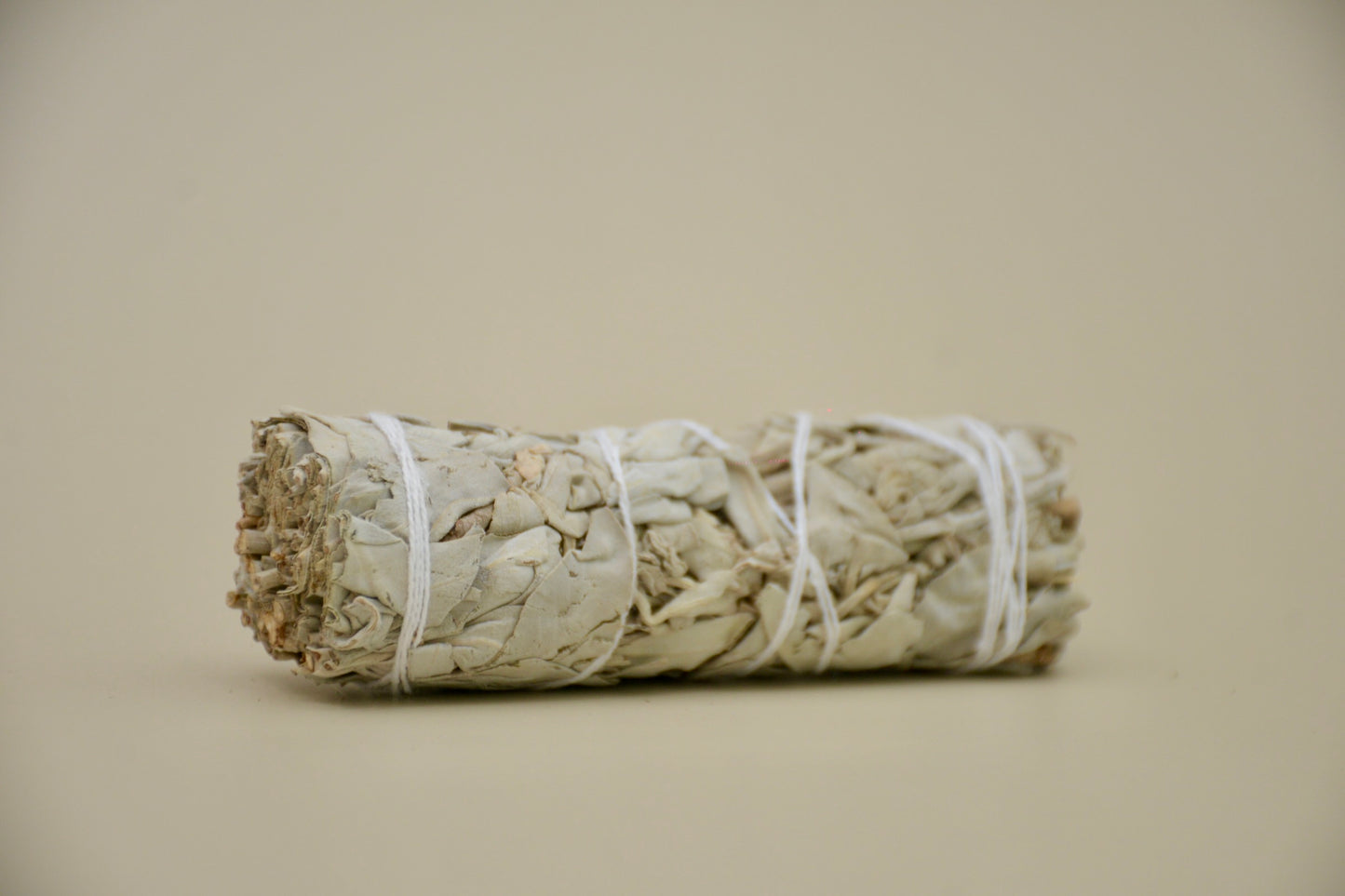 California White Sage
