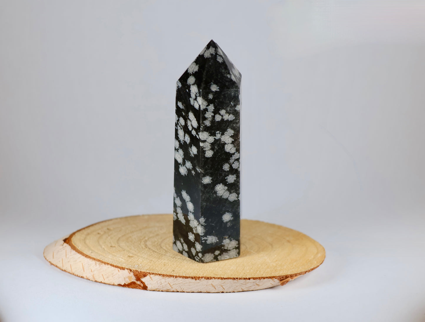 Obsidienne neige - pointe
